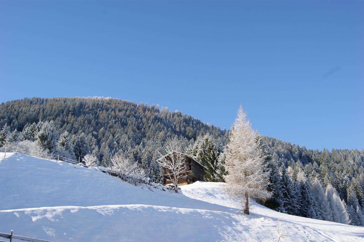 Hotel Garni Haus Anita Liesing المظهر الخارجي الصورة