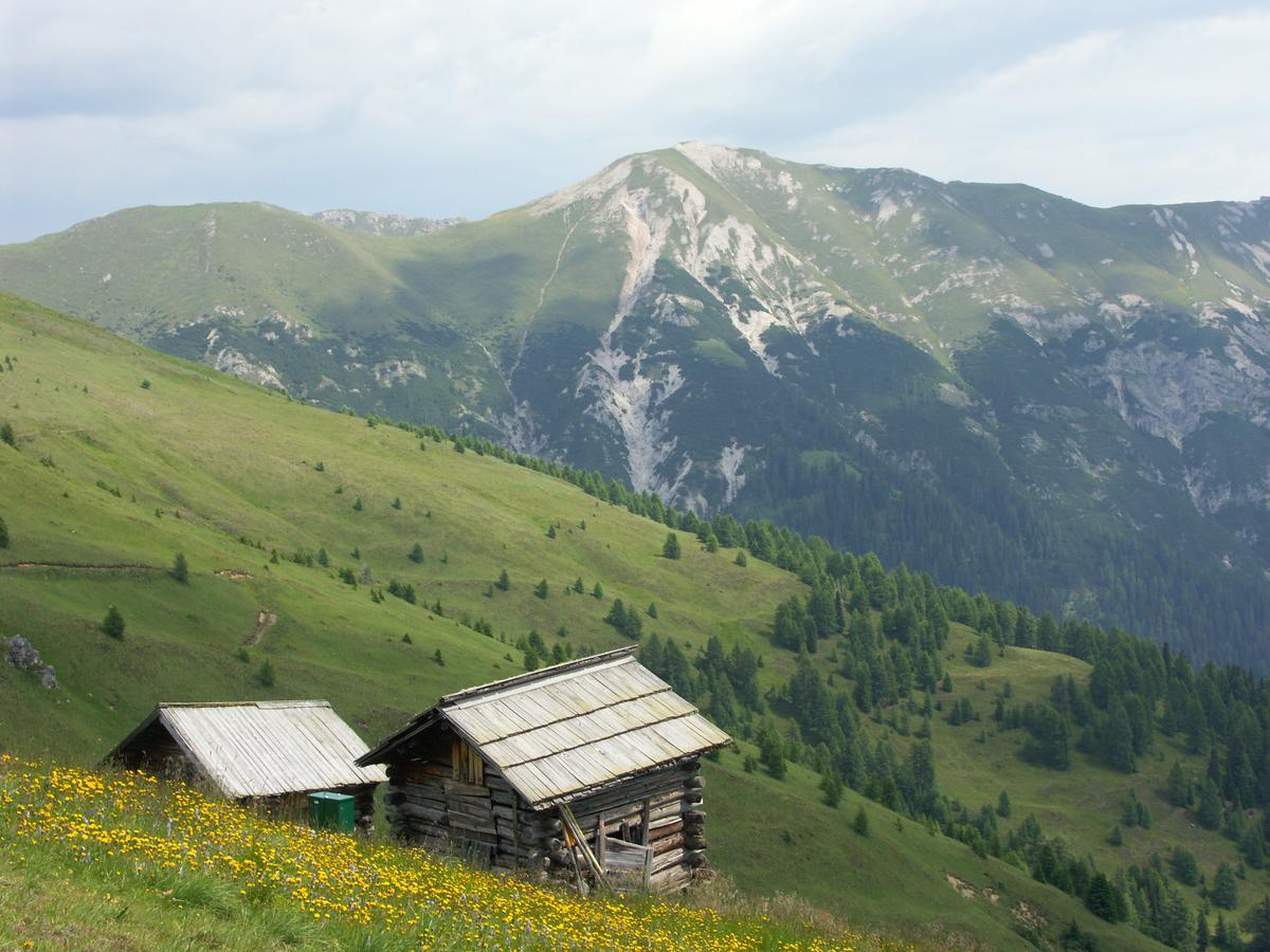 Hotel Garni Haus Anita Liesing المظهر الخارجي الصورة